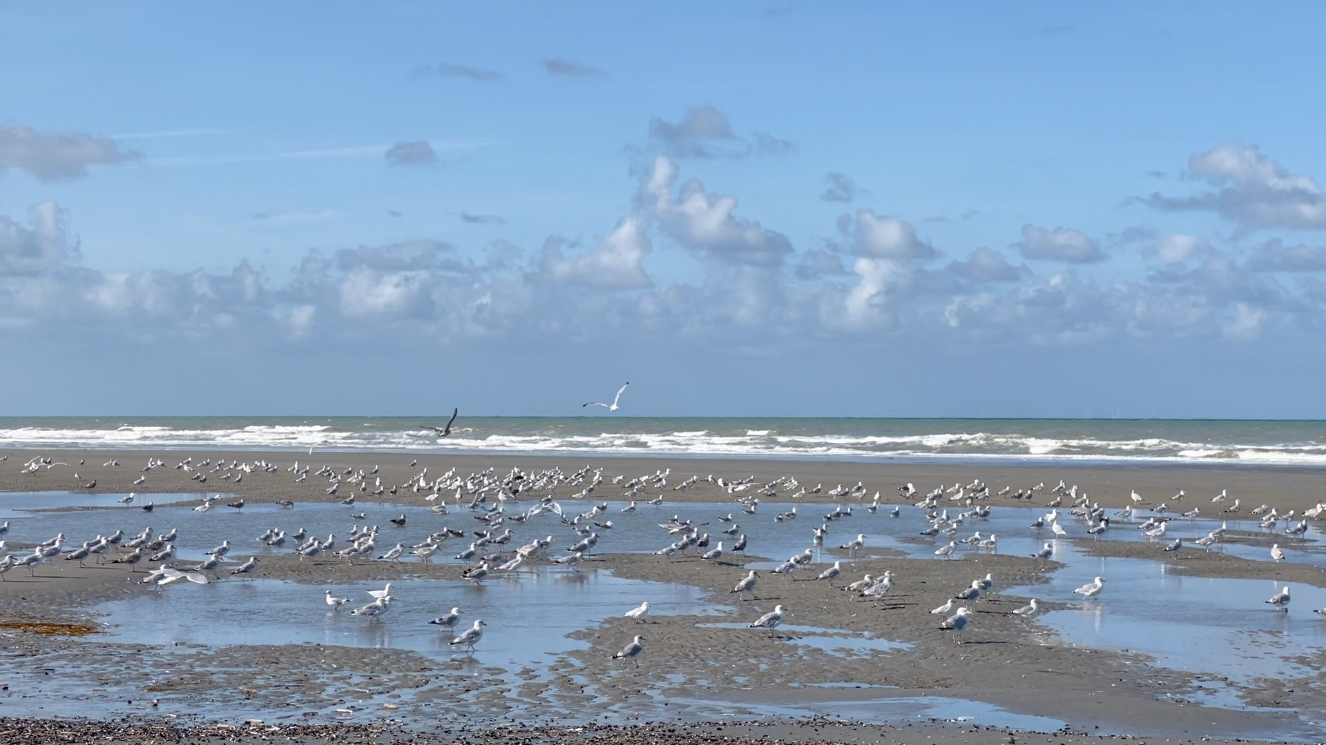 plage